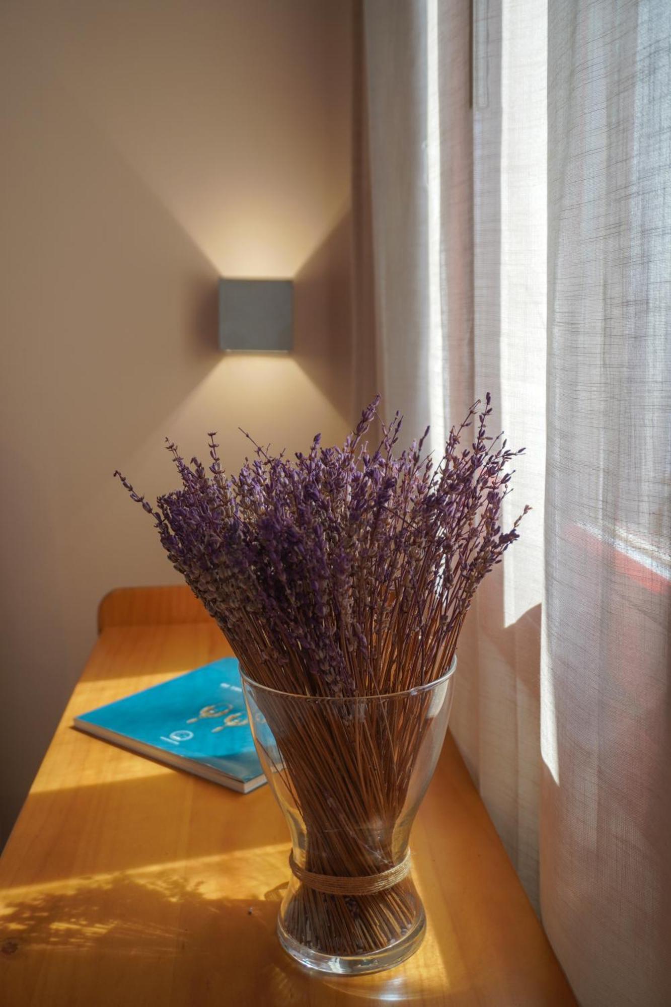 Appartement Arodou And *